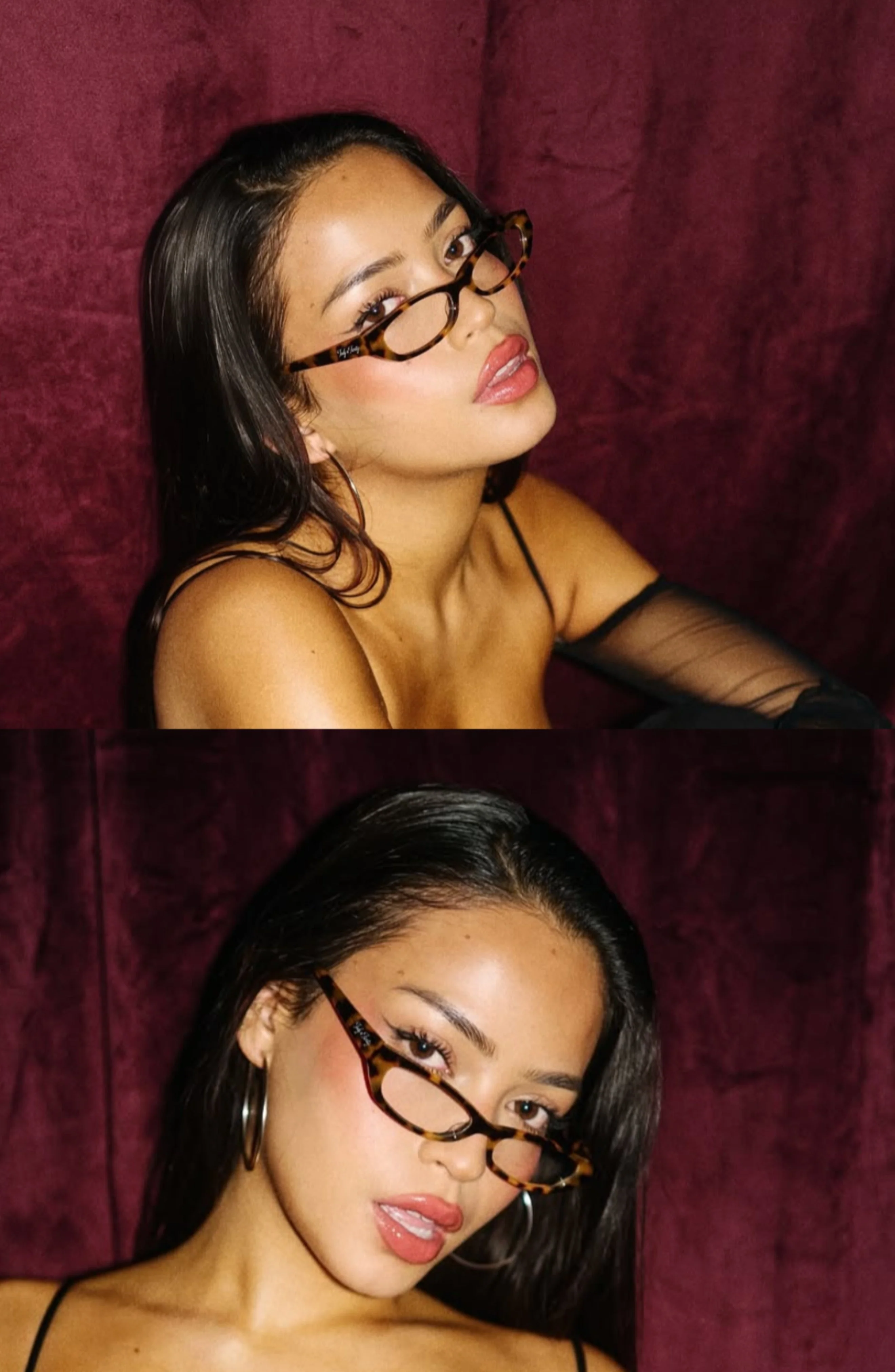 Gisele / Tortie - Image 5