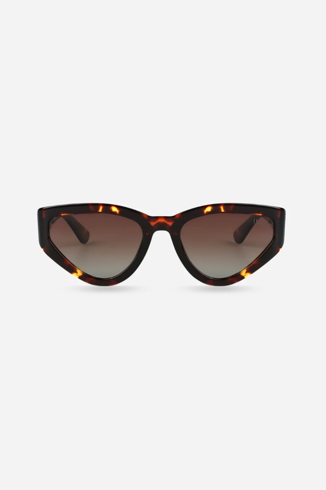 Nolita / Tortie - Image 8